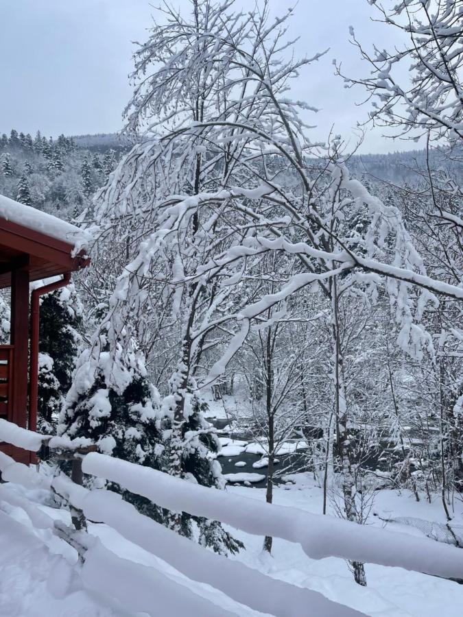 Villa Затишна De Luxe Mykulyčyn Exteriér fotografie